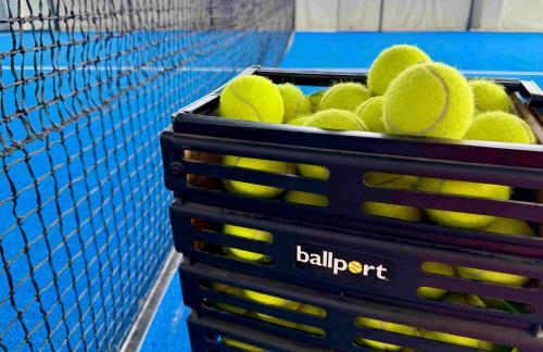 Аренда корта и инвентаря от 15р в "Padel Play" в Могилеве